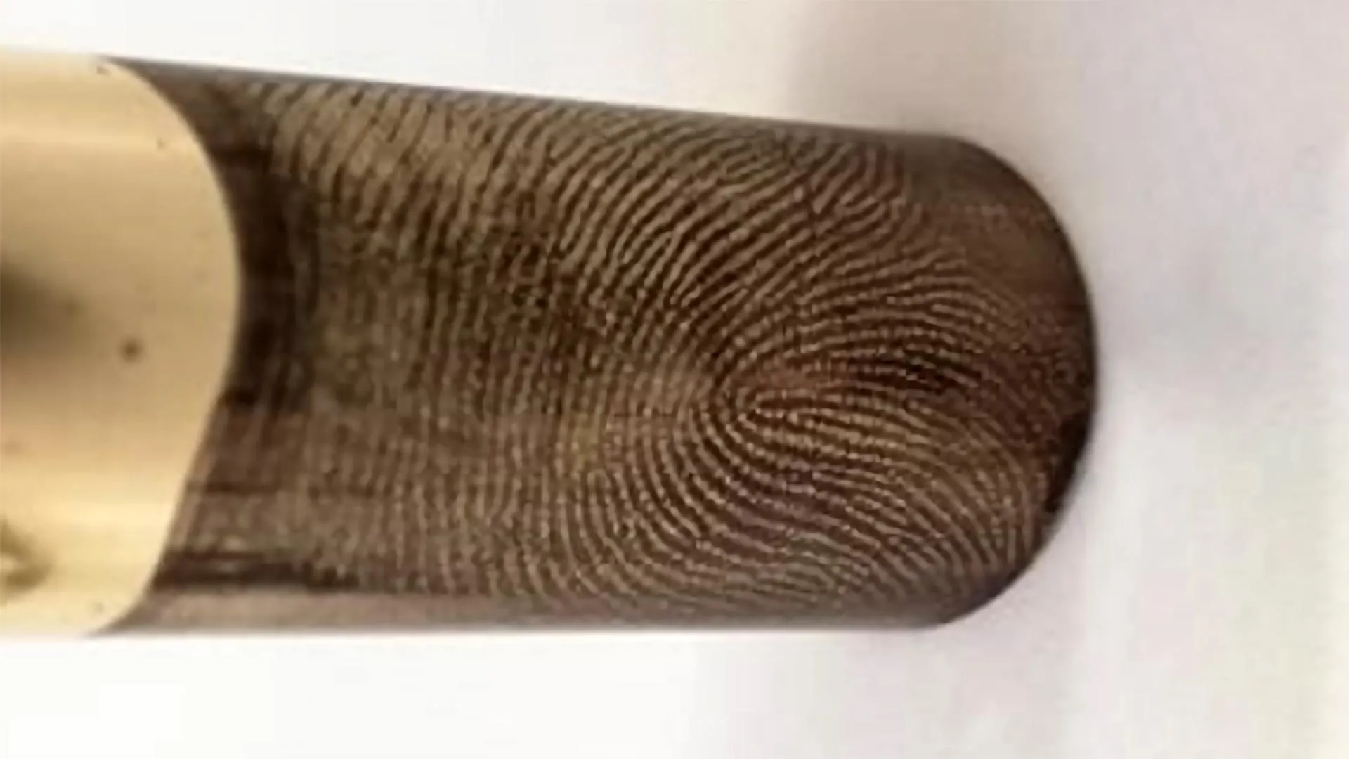 Scientists achieve forensics’ “Holy Grail” by recovering fingerprints from fired bullets