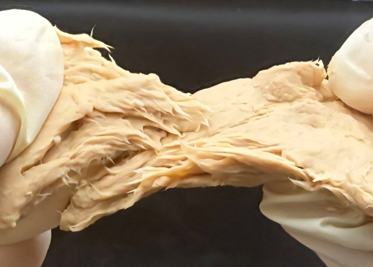 Genetically engineered fungi are protein-packed, sustainable, and taste similar to meat