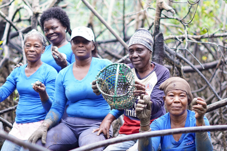 Afro-descendant territories slash deforestation, lock in carbon, study shows