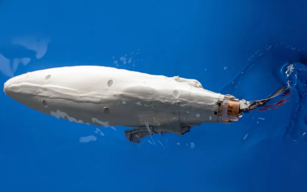 Underwater Robot Mimics Fish With New Fin Design