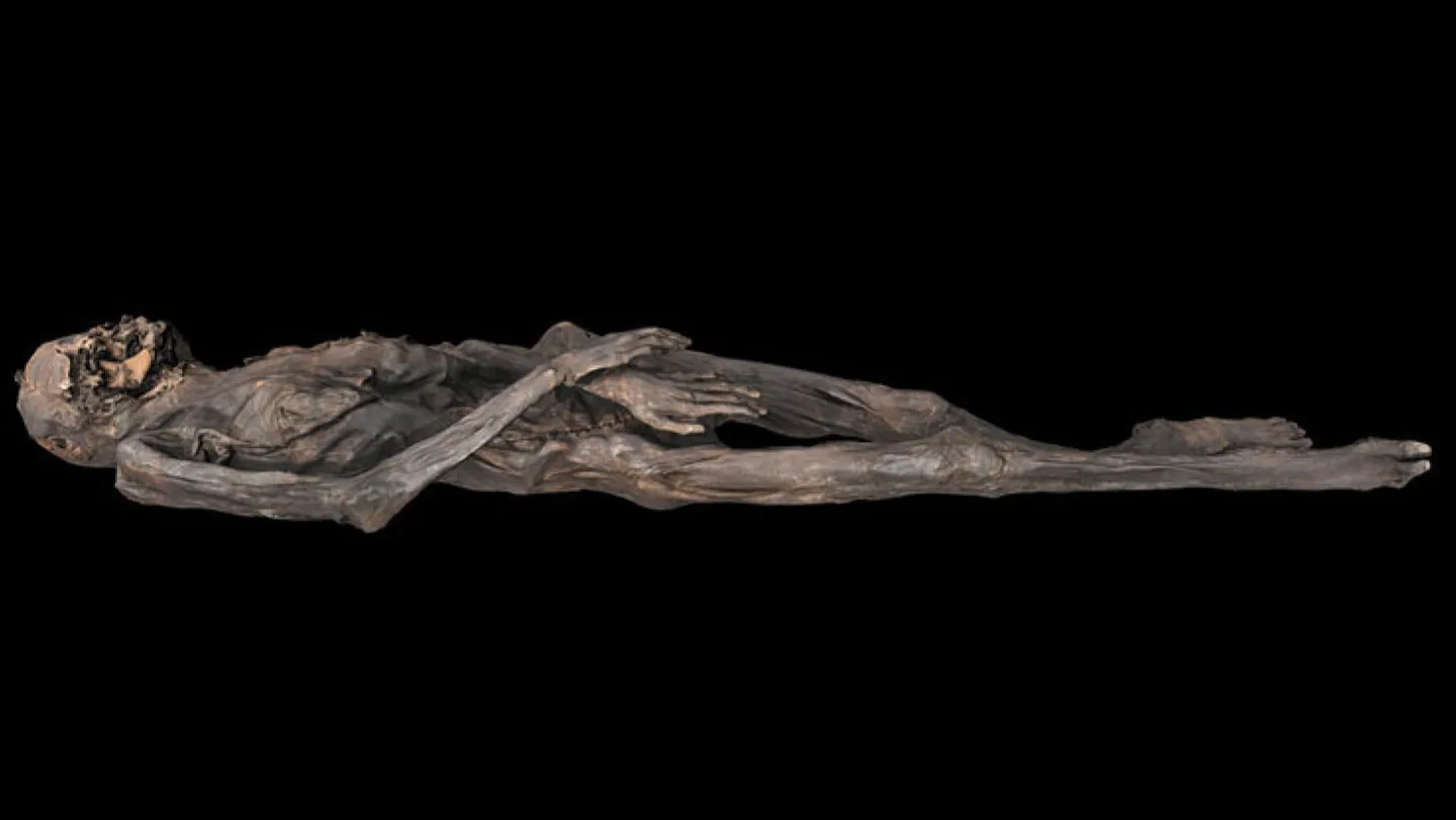 This ancient Siberian ice mummy had a talented tattooist