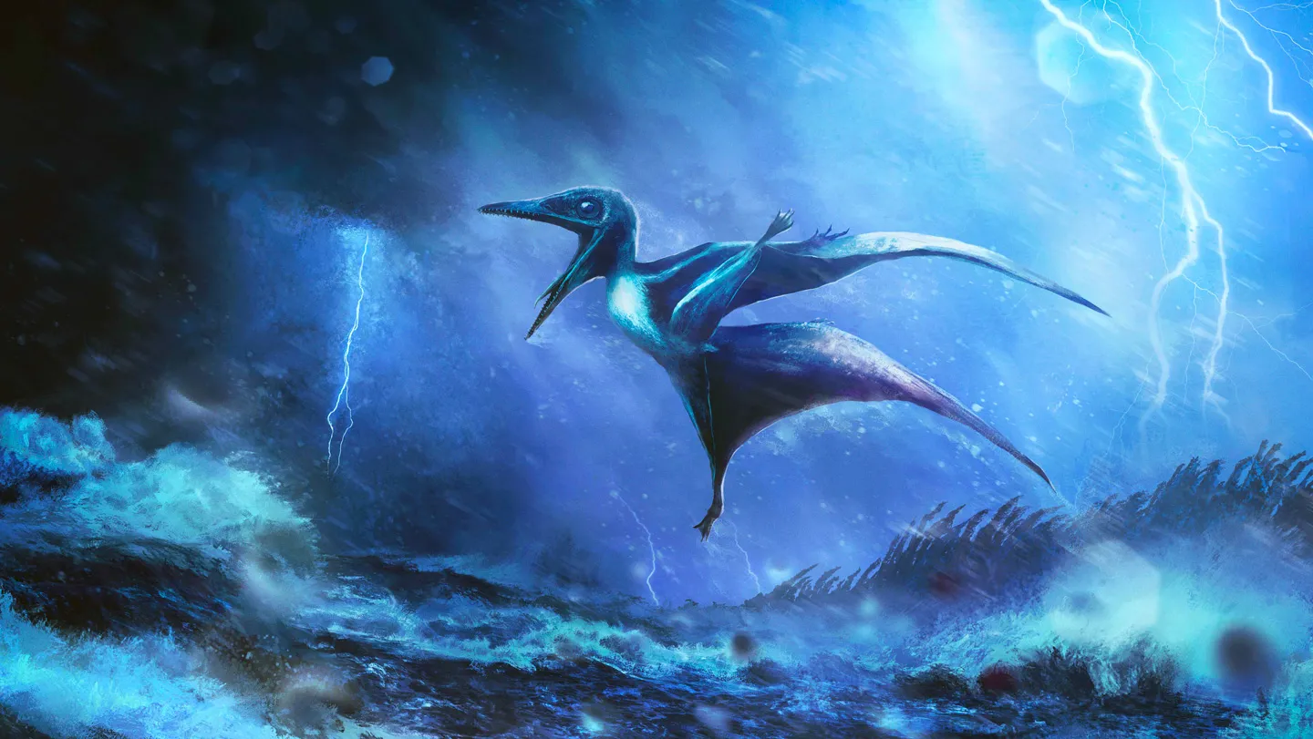 Young pterosaurs probably died in violent Jurassic storms