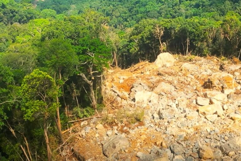 Cyclone Ditwah takes heavy toll on Sri Lanka’s biodiversity-rich Central Highlands