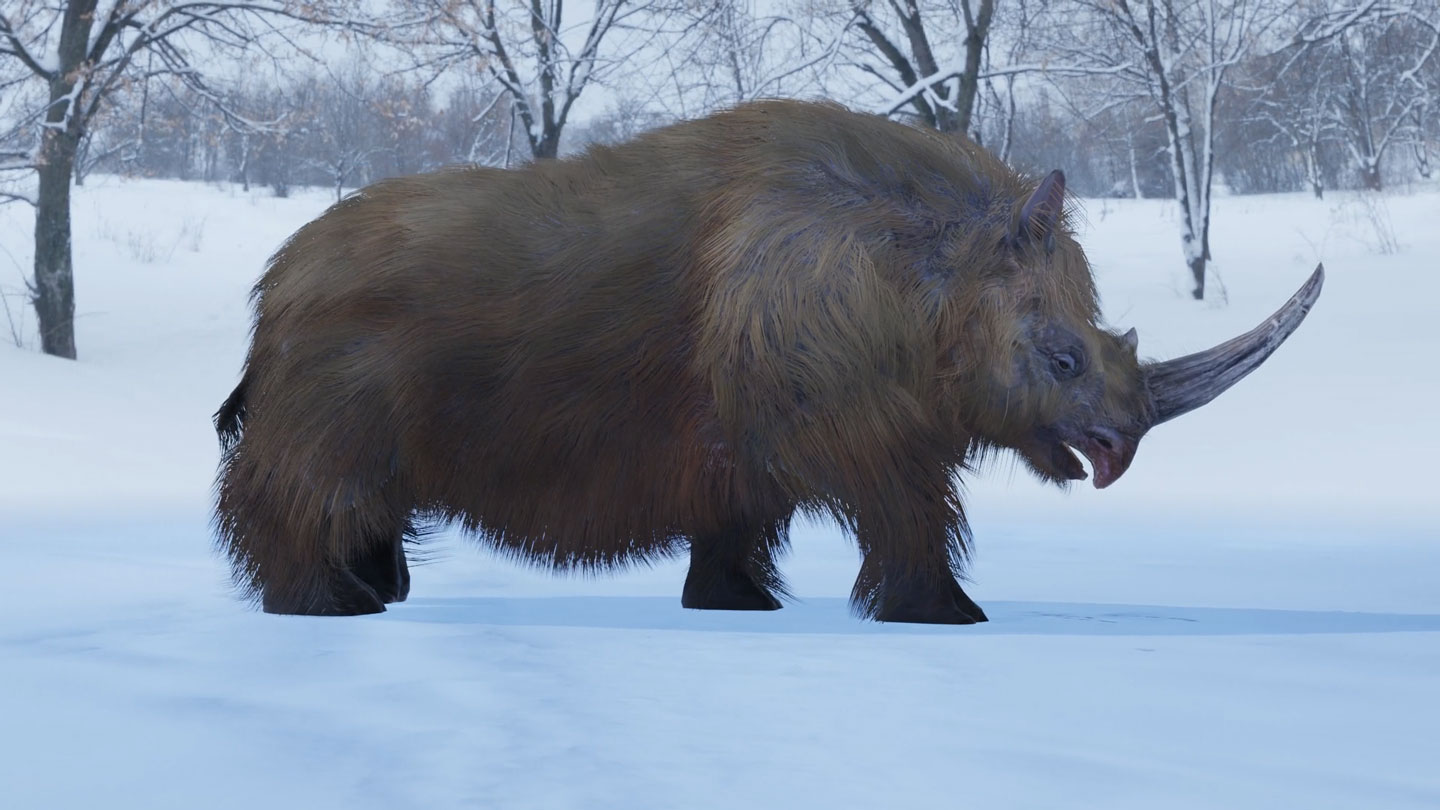 What the longest woolly rhino horn tells us about the beasts’ biology