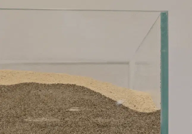 Soft Edible Robot: A Sweet Treat with a Purpose