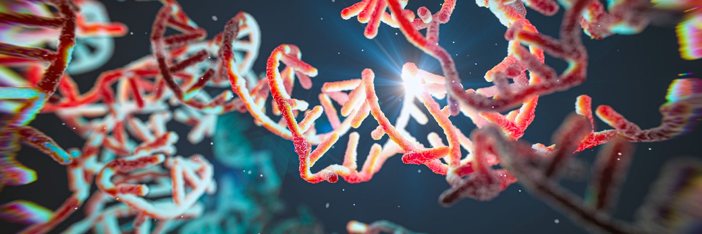 Mechanism Supports Function: The Dharmacon™ siRNA Algorithm 20 Years Strong