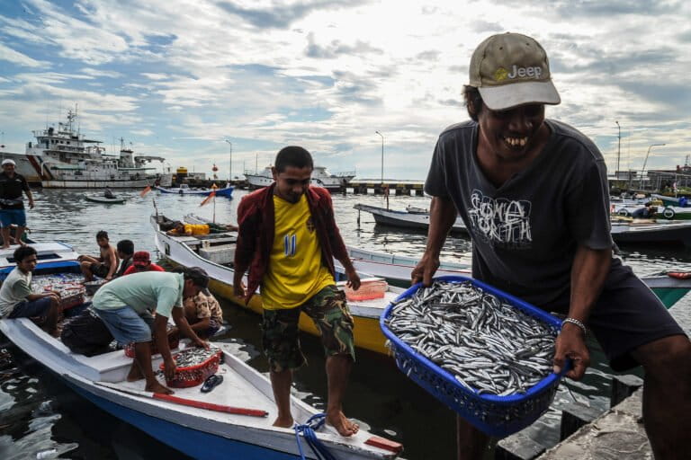 Healthy oceans are a human right (commentary)