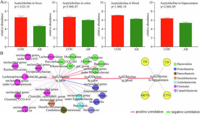 Consistent decline of acetylcholine in microbiota-gut-brain axis mediates antibiotic-induced anxiety via regulating hippocampus microglial activation