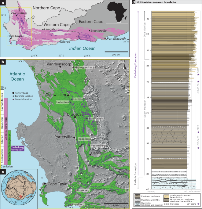 Marine snow fuels an opportunistic small food web in the Late Ordovician Soom Shale Lagerstätte
