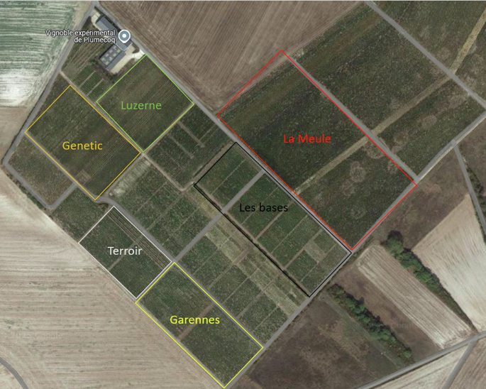Multi-annual spectral data of Chardonnay grapevine leaves presenting yellows diseases and confounding symptoms