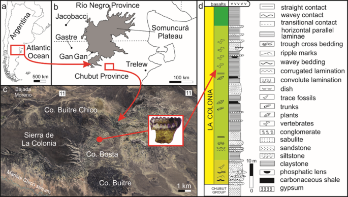 First unambiguous evidence of Multituberculata from the Late Cretaceous of South America