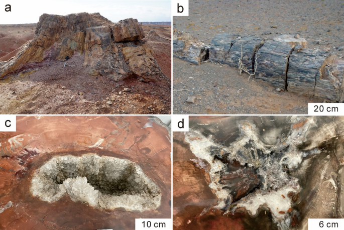 High-temperature wood silicification: constraints from fluid and carbonaceous inclusions in quartz from Qitai, NW China