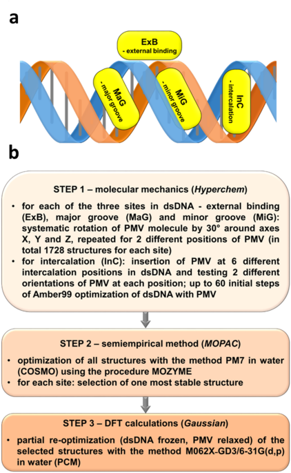 Theoretical, biological, and electrochemical explanation of the complexity of Peramivir’s drug–DNA interaction