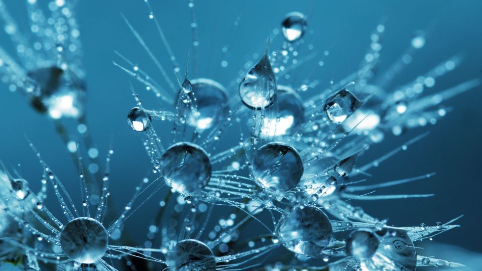 Transferable enantioselectivity models from sparse data