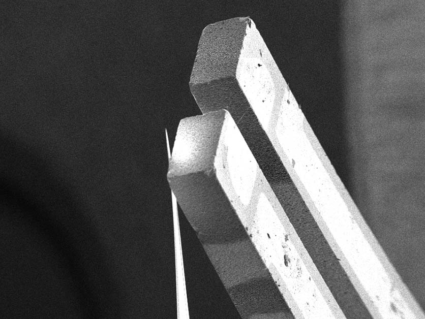 MRI Gets a Nano-Sized Upgrade – Chemistry | Weizmann Wonder Wander