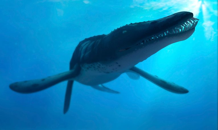 Super predators over 10 metres long once dominated our oceans – unlike anything seen today, say scientists