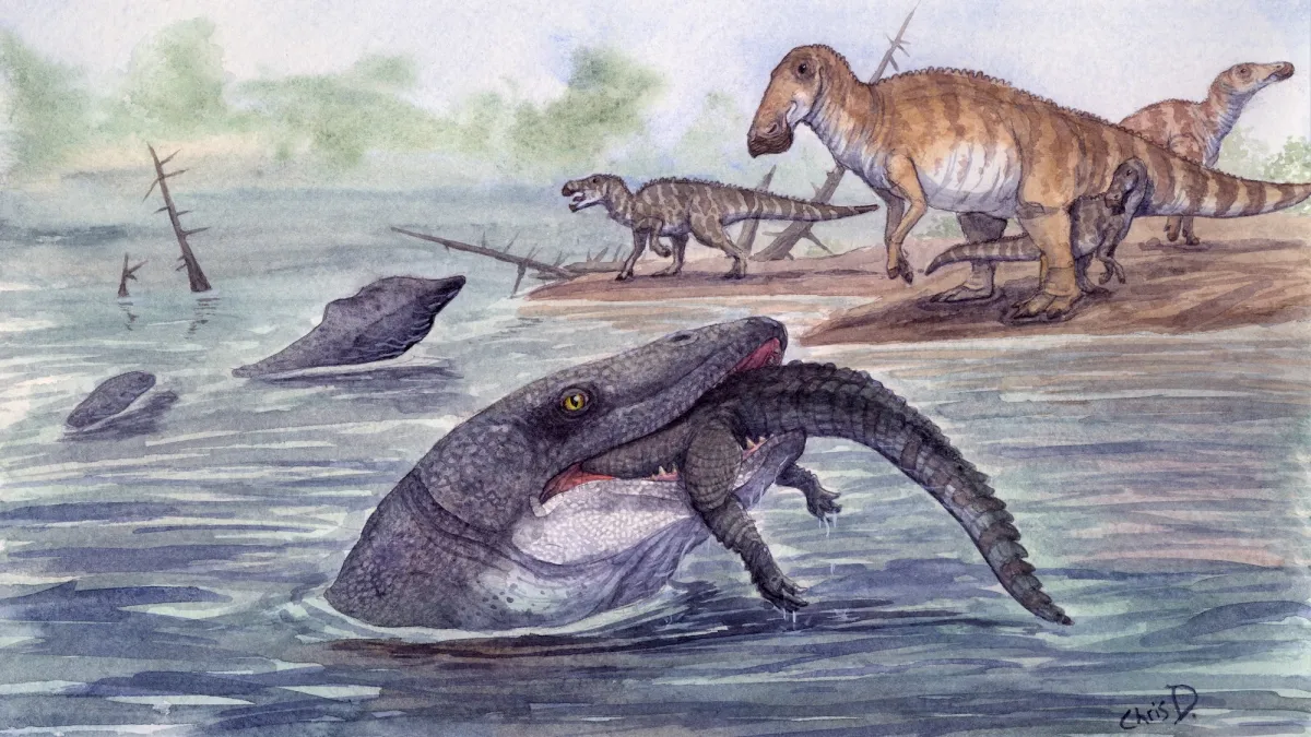 Mosasaurs may have terrorized rivers as well as oceans