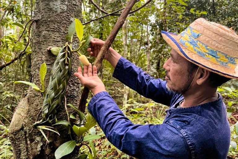 SE Asia’s smallholders struggling to meet EUDR: Interview with RECOFTC’s Martin Greijmans