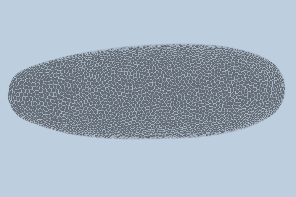 Deep-learning model predicts how fruit flies form, cell by cell | MIT News