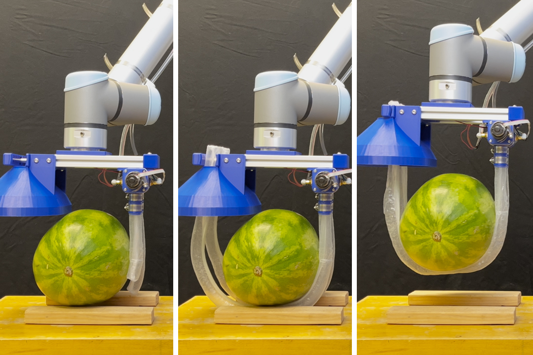 Vine-inspired robotic gripper gently lifts heavy and fragile objects | MIT News