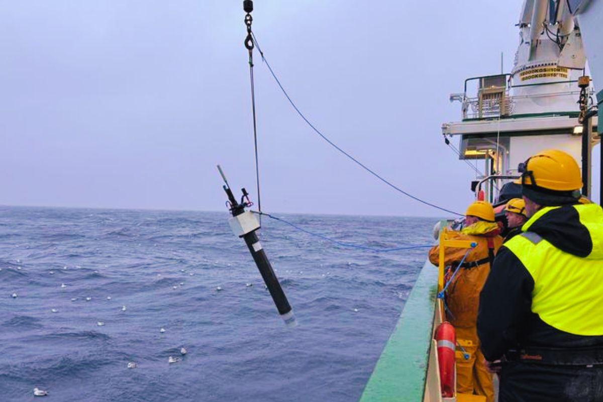 Mind-Blowing Deep-Sea Discovery: Canadian Robot Uncovers a Colossal Mass Equal to 250 Million Elephants