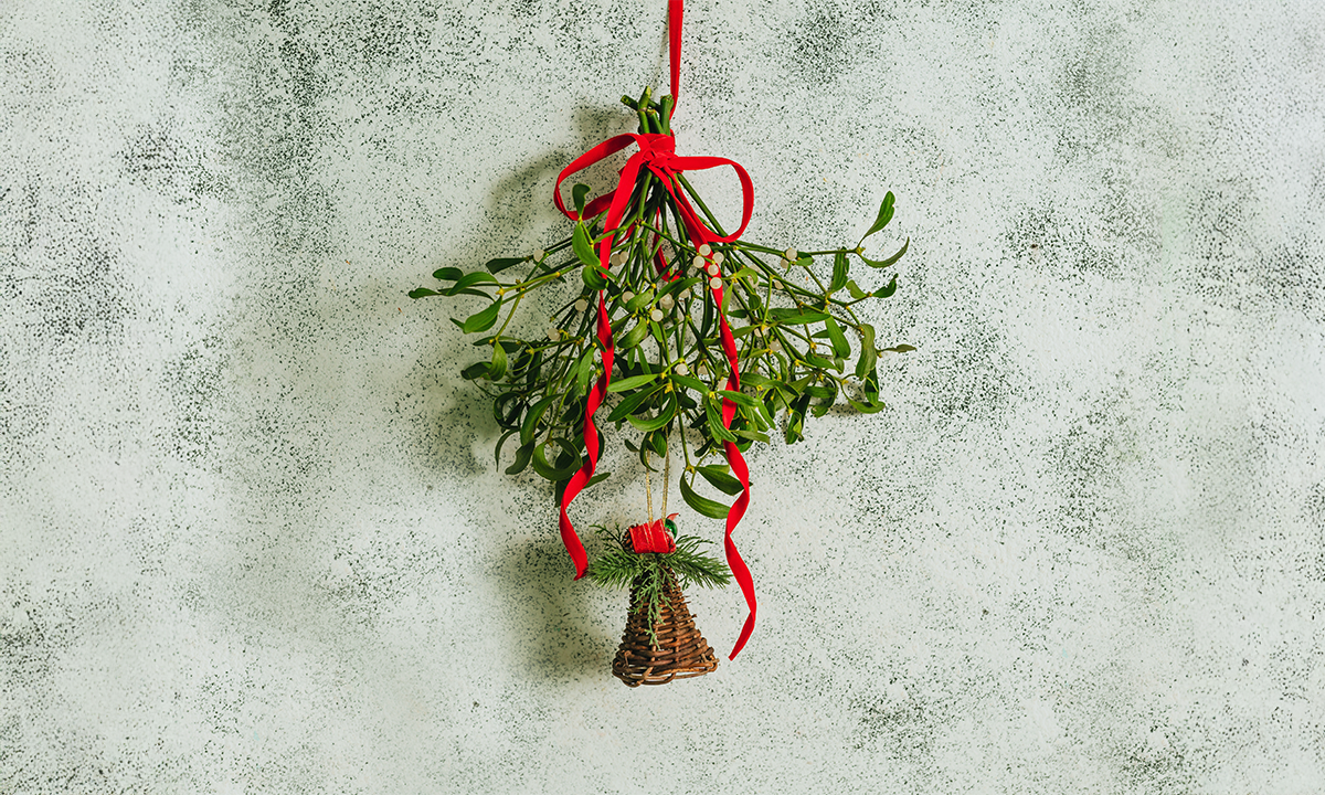 Is the Mistletoe That inspires Holiday Smooching A Menace to Trees?