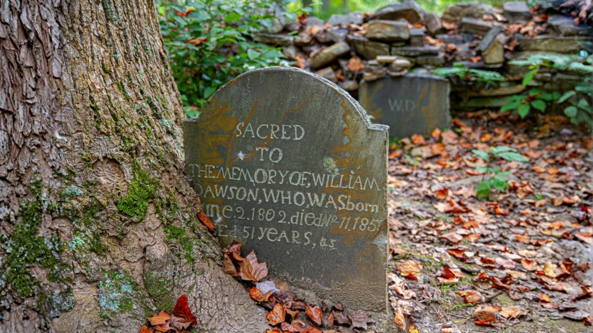 Scientists Analyzed The Obituaries of 38 Million Americans. Here’s What They Found. : ScienceAlert