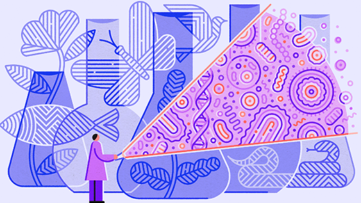 The Year in Biology | Quanta Magazine