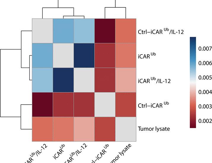 Coordinate tumor-antigen uptake and dendritic cell activation by chimeric antigen receptors | Science Translational Medicine