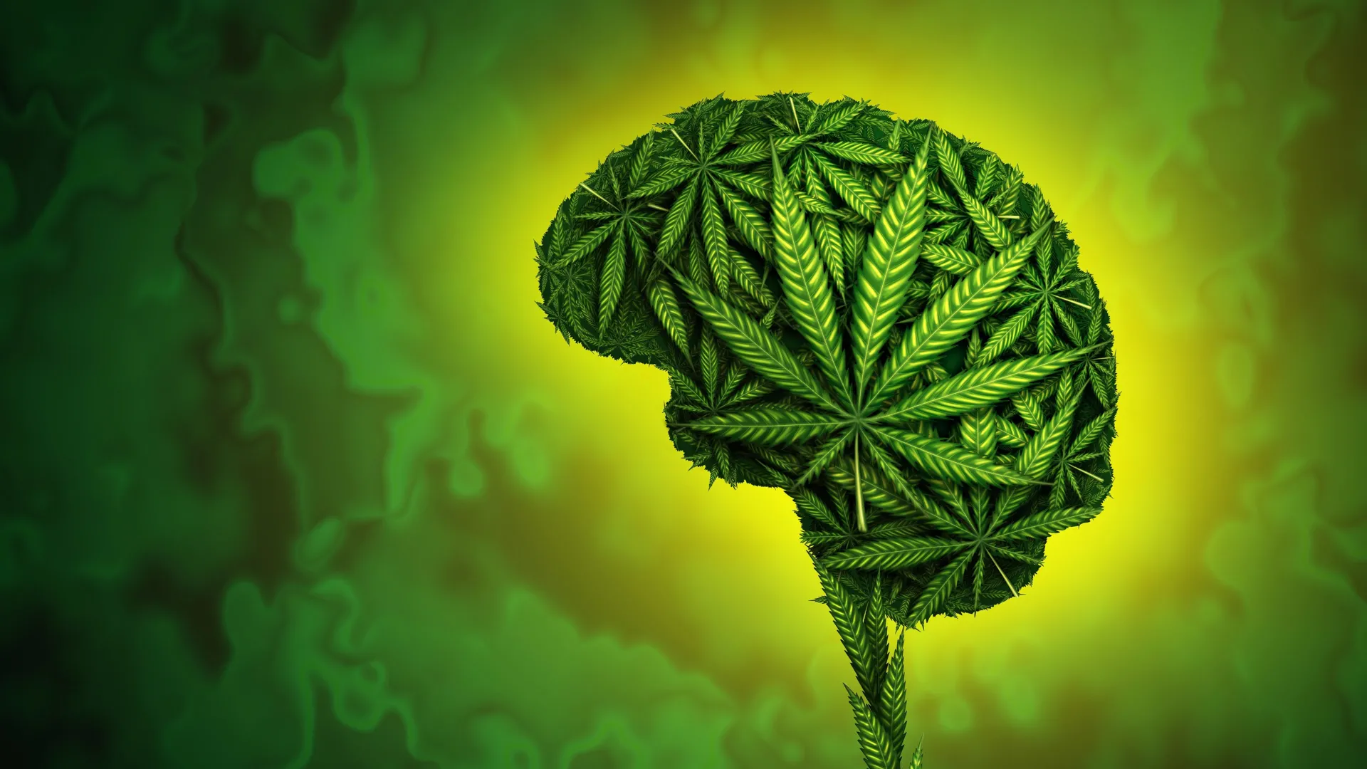 What cannabis really does for chronic pain