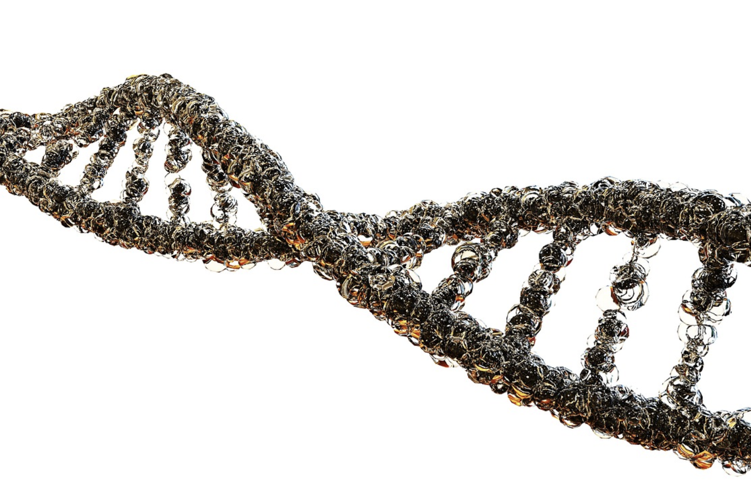 Mutations Lurking in Alternative Proteins May Cause Disease