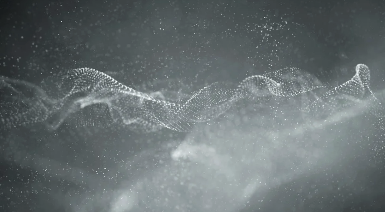 How Rabies Does So Much with So Little (Genetic Material)