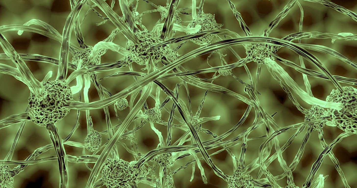 New Insights Into the Link Between a Toxic Protein & Neurodegeneration