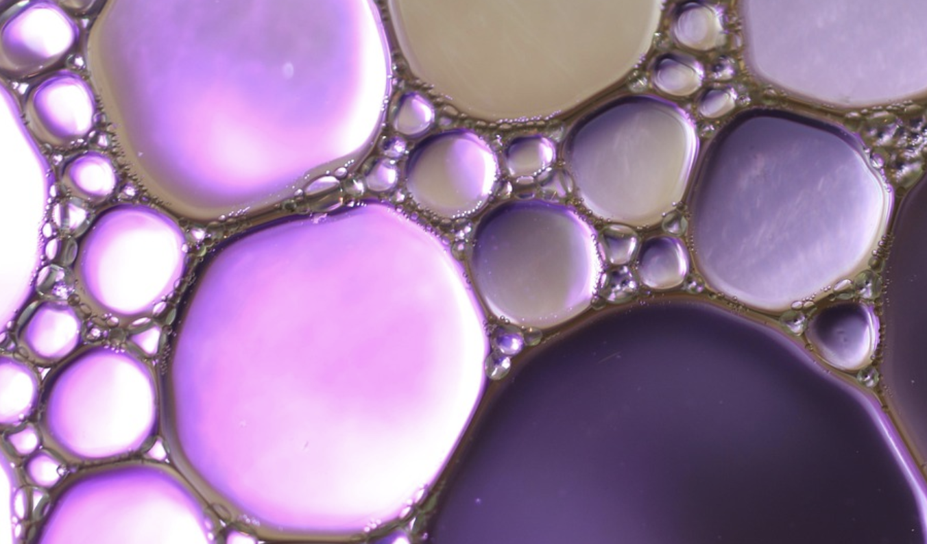 New Study Aims to Identify the Most Beneficial Gut Microbes