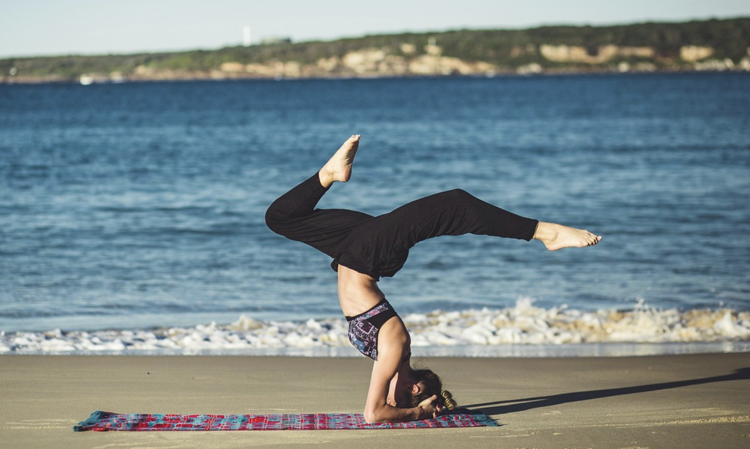 The Loss of This Protein Alters Muscles’ Reaction to Testosterone