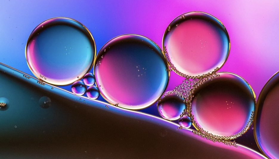 The Body’s Own Ozempic | Cell And Molecular Biology