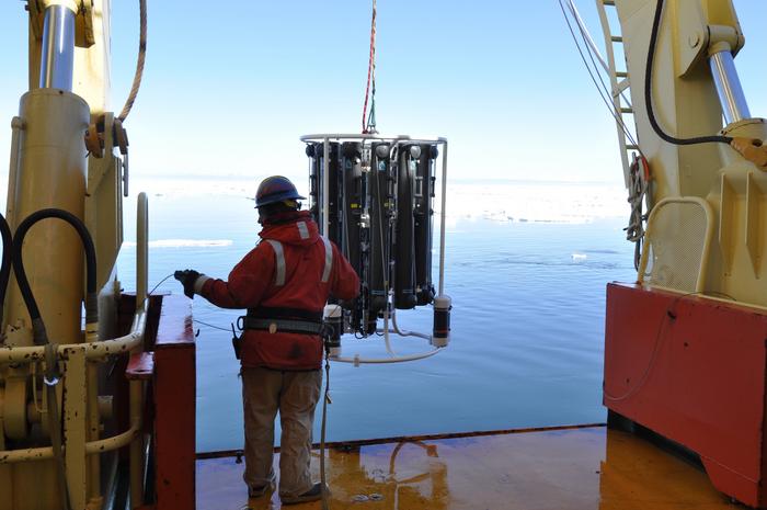 When the Earth Shakes, the Ocean Blooms