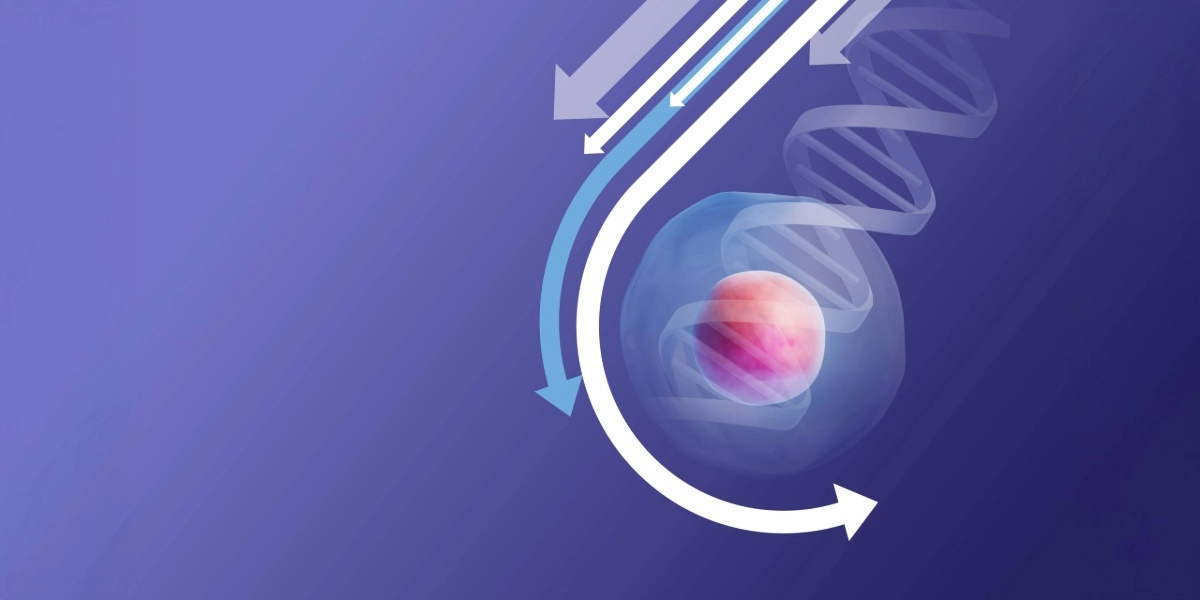 On-demand talks: Trends in preimplantation genetic testing