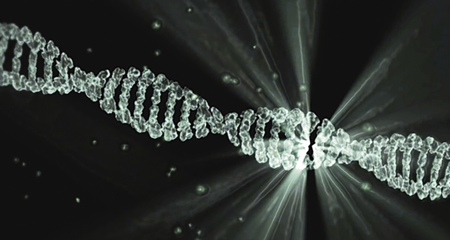 DNA Maintenance Problems may Underlie Some Diseases