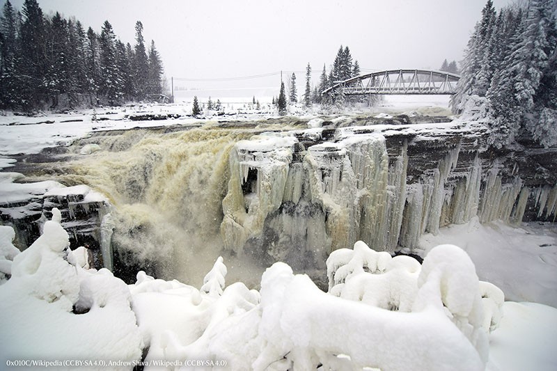 Explore 2025 with Leif Penguinson