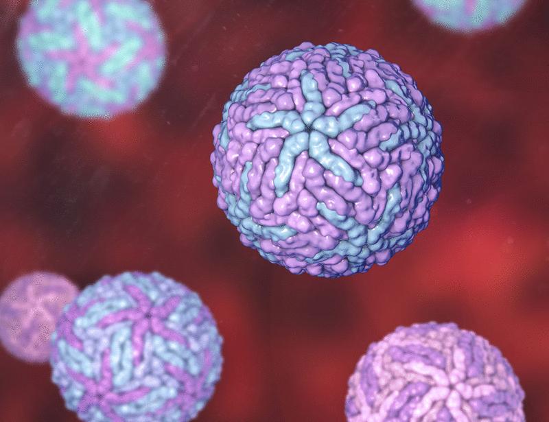 Distinct systemic immune responses in asymptomatic and symptomatic dengue virus infection | Science Translational Medicine