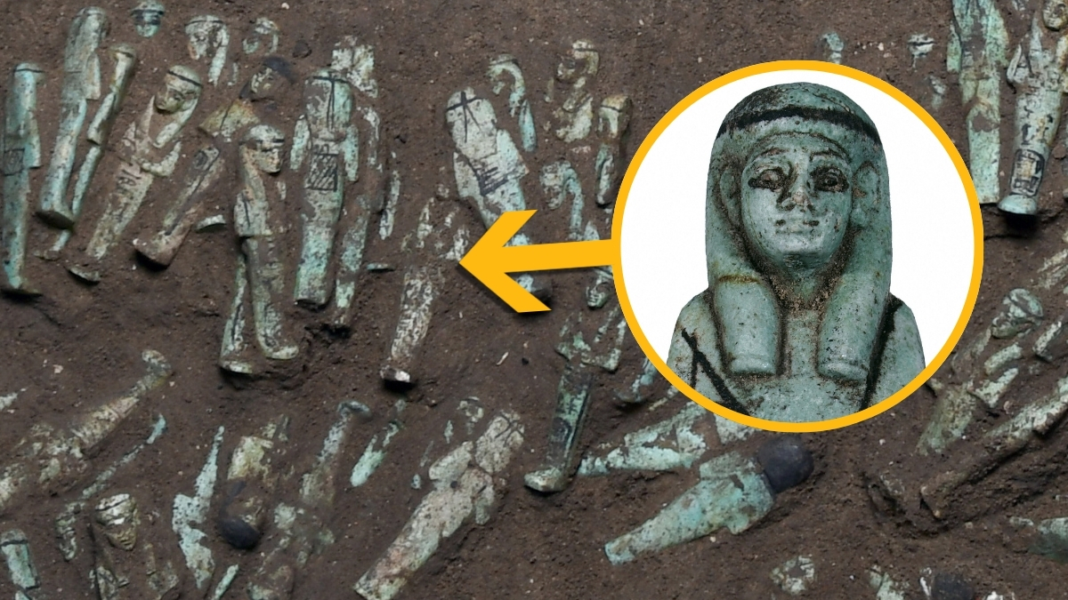 Trove of 225 ‘Exceptional’ Egyptian Figurines Solves Long-Standing Mystery : ScienceAlert