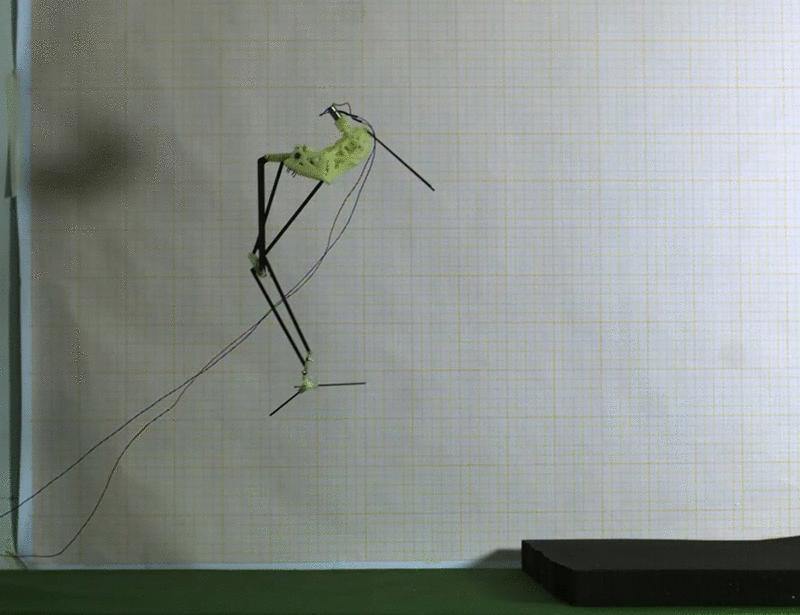 Jump, recharge, repeat: Insect-inspired jumping robots and the challenge of energy harvesting | Science Robotics