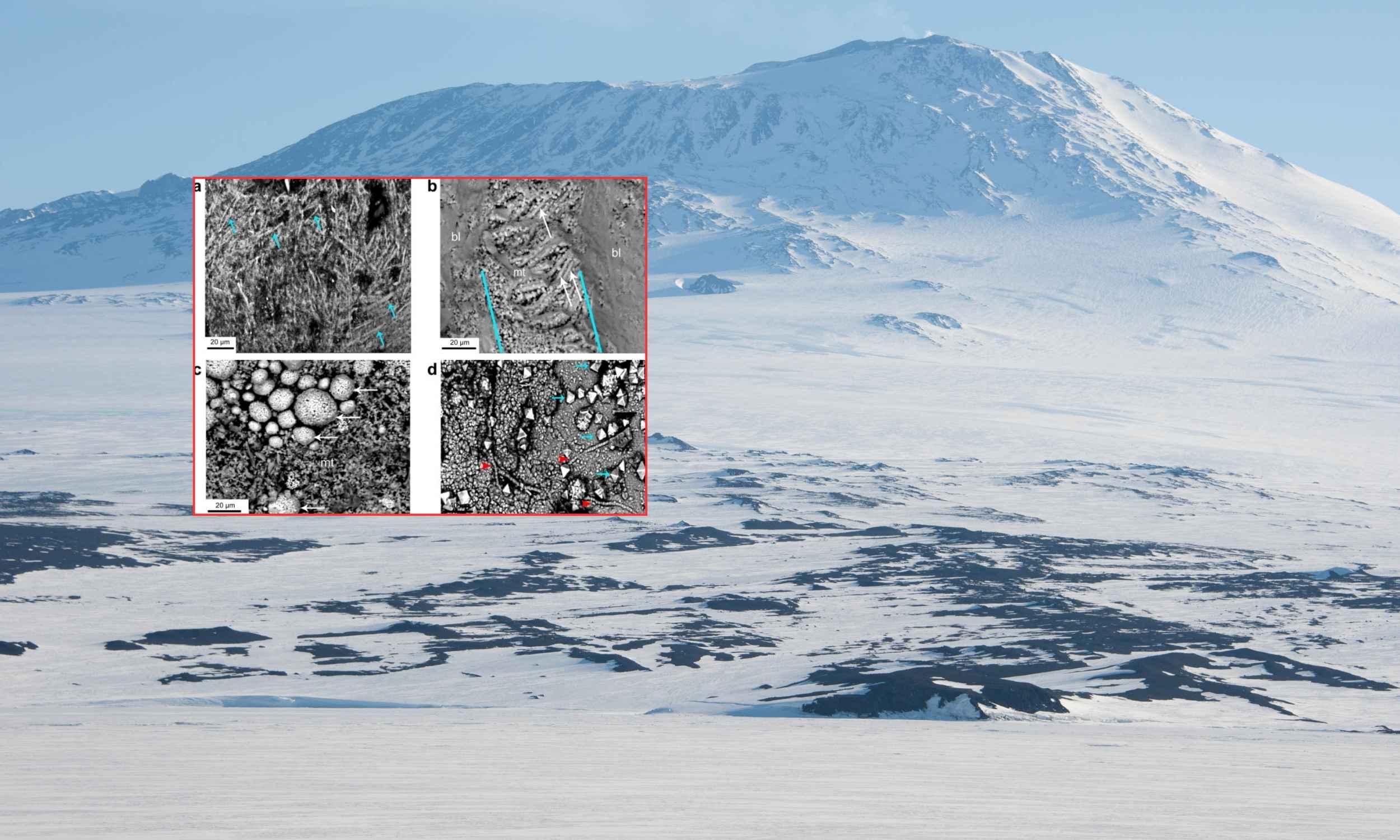 Enormous 68-million-year-old egg dubbed ‘The Thing’ unearthed in Antarctica