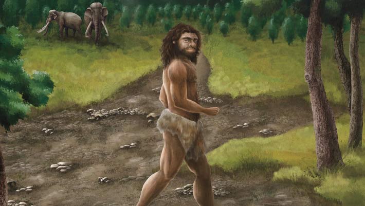 Denisovan DNA May Have Helped Ancient Humans Survive in Americas