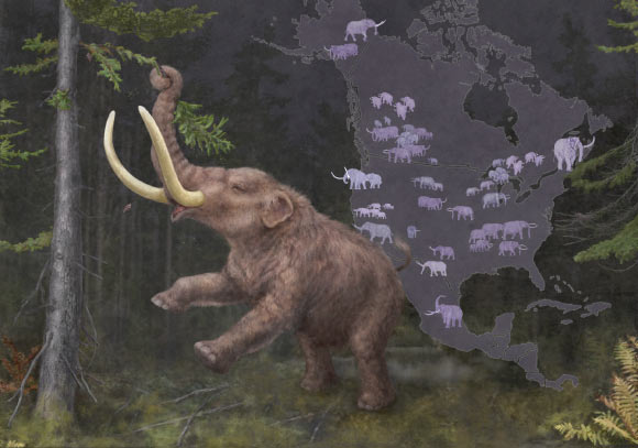 Mastodons were Far More Genetically Diverse than Previously Known, Ancient DNA Shows