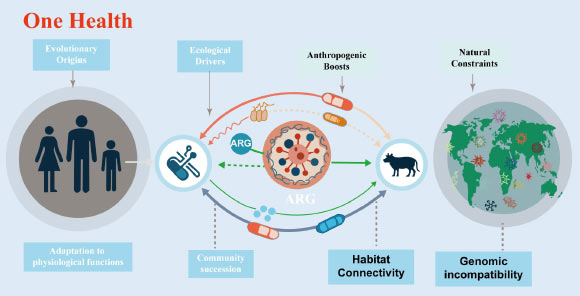 Antibiotic Resistance is Ancient Feature of Microbial Life, New Review Says