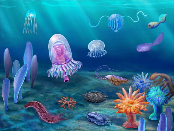 Cambrian Explosion Occurred Millions of Years Earlier than Previously Thought: Study