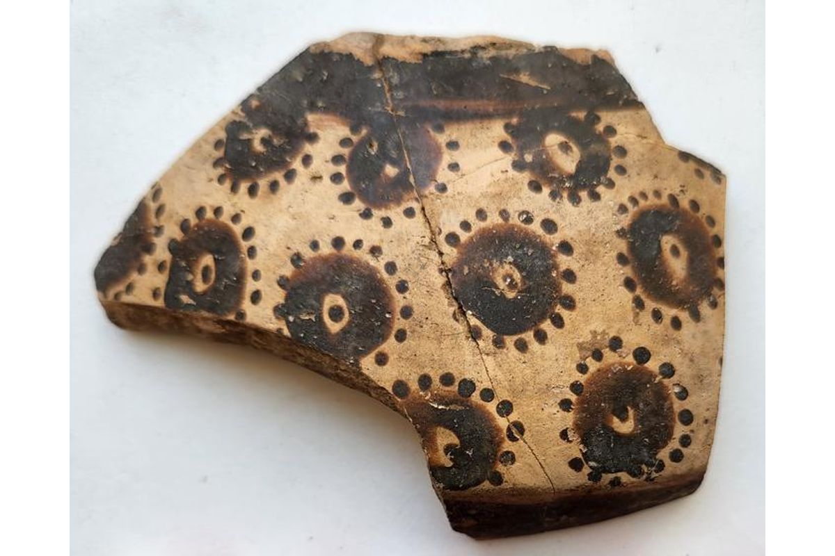 The World’s Oldest Botanical Art Reveals How Humans Were Doing Math 8,000 Years Ago