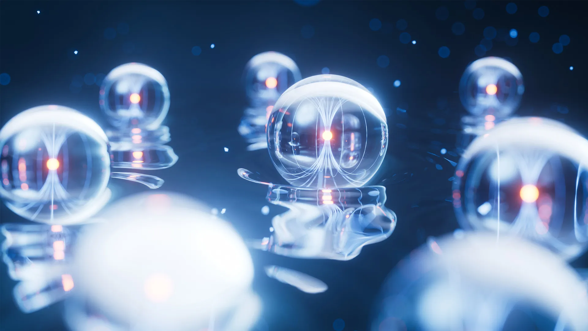 Hidden quantum spin liquid behavior confirmed in a new kagome crystal